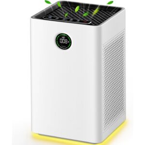 Compact Air Purifier