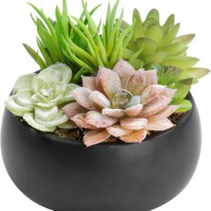 Faux Succulent Arrangement